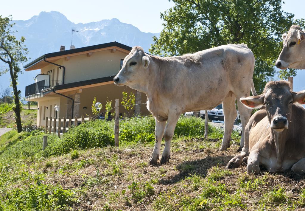Agriturismo Al Franet Tremosine Exterior photo