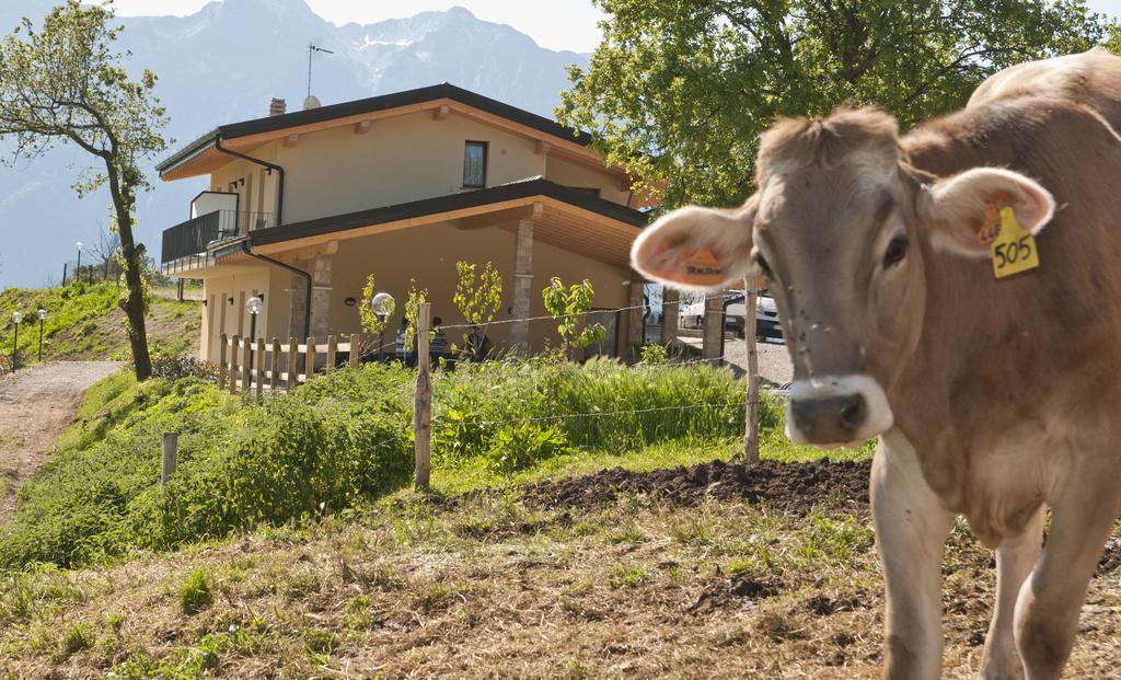 Agriturismo Al Franet Tremosine Exterior photo