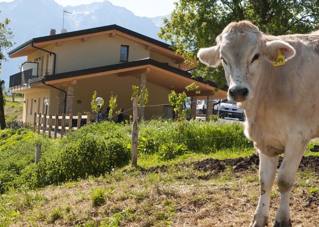 Agriturismo Al Franet Tremosine Exterior photo