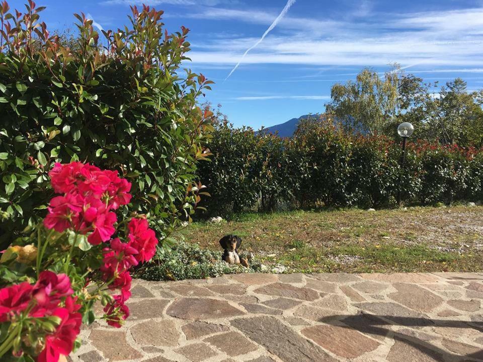 Agriturismo Al Franet Tremosine Exterior photo